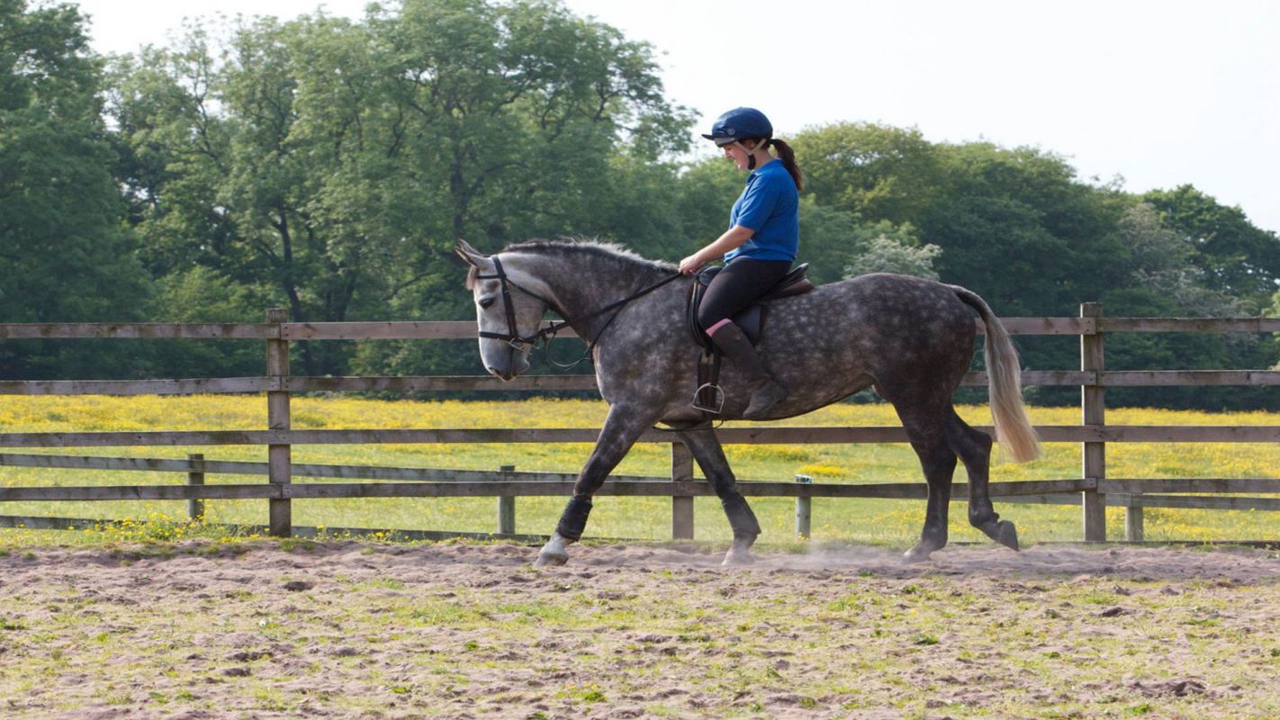 Local Horsemanship Services San Jose CA