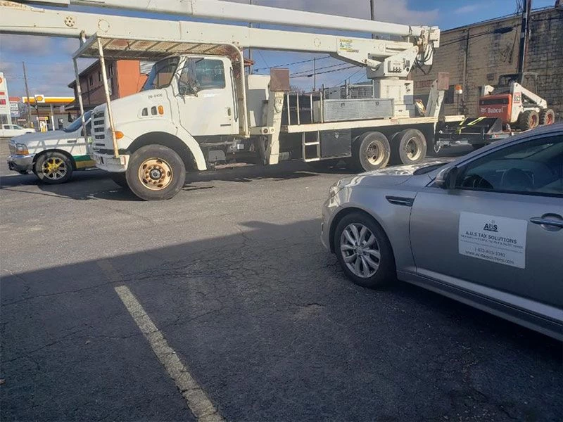 Tree Removal Services Bessemer AL