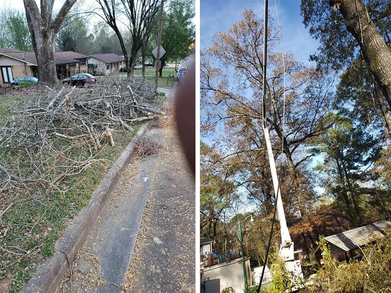 Tree Removal Services Bessemer AL