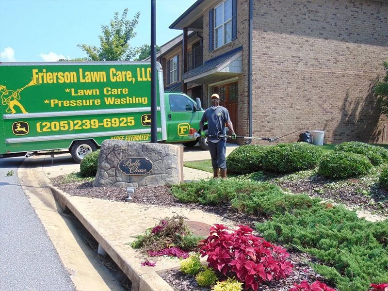 Tree Removal Services Bessemer AL