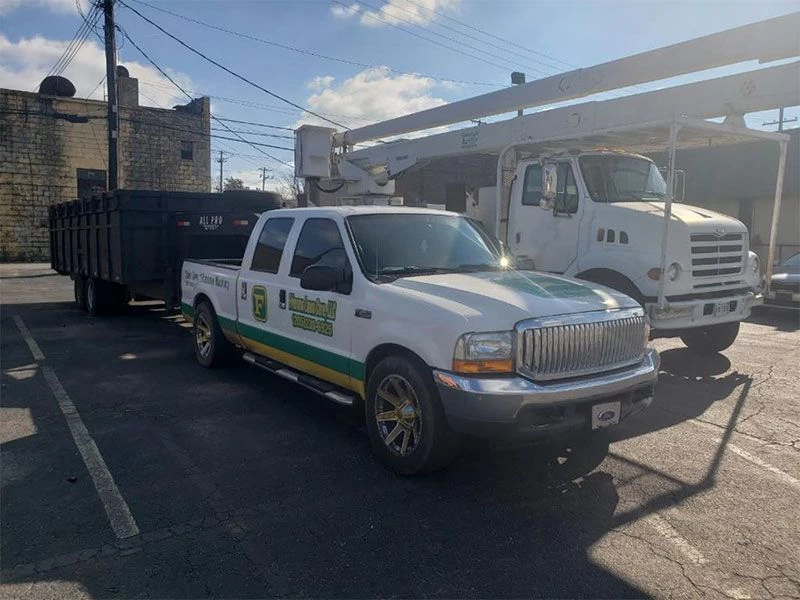 Tree Removal Services Bessemer AL