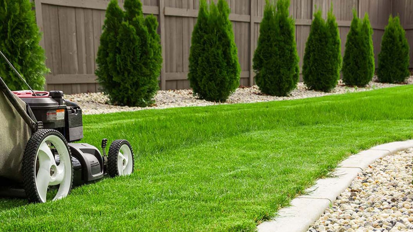 Residential And Commercial Lawn Services Bessemer AL