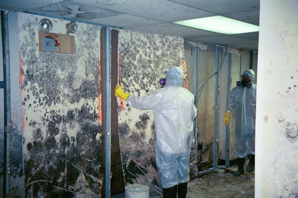 Mold Clean Up Services Miramar FL