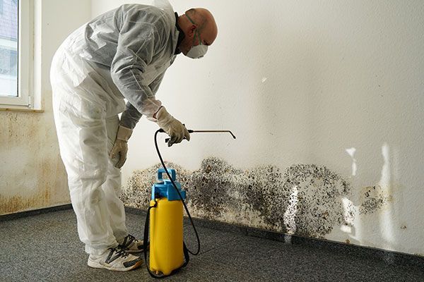 Mold Damage Repair Miramar FL