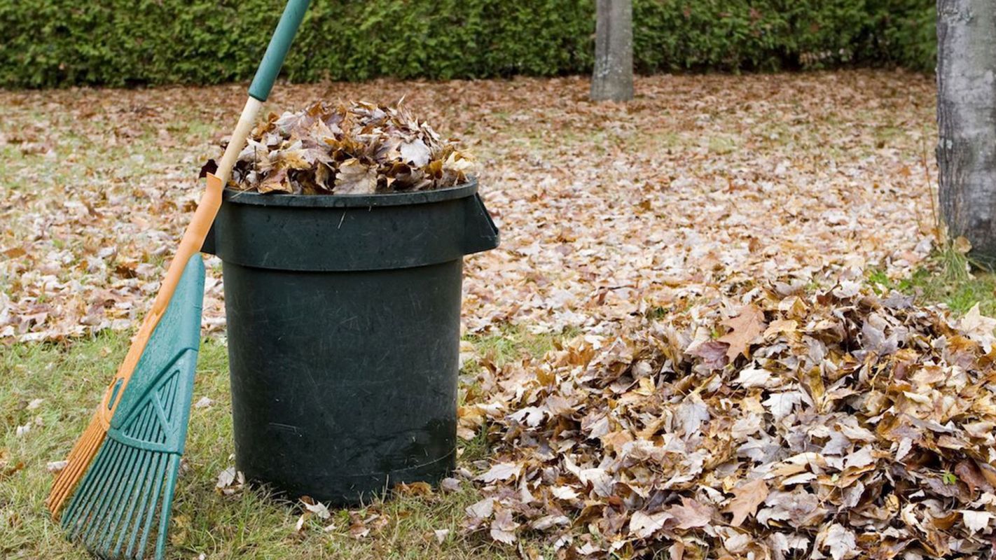 Yard Waste Removal Services Los Angeles CA