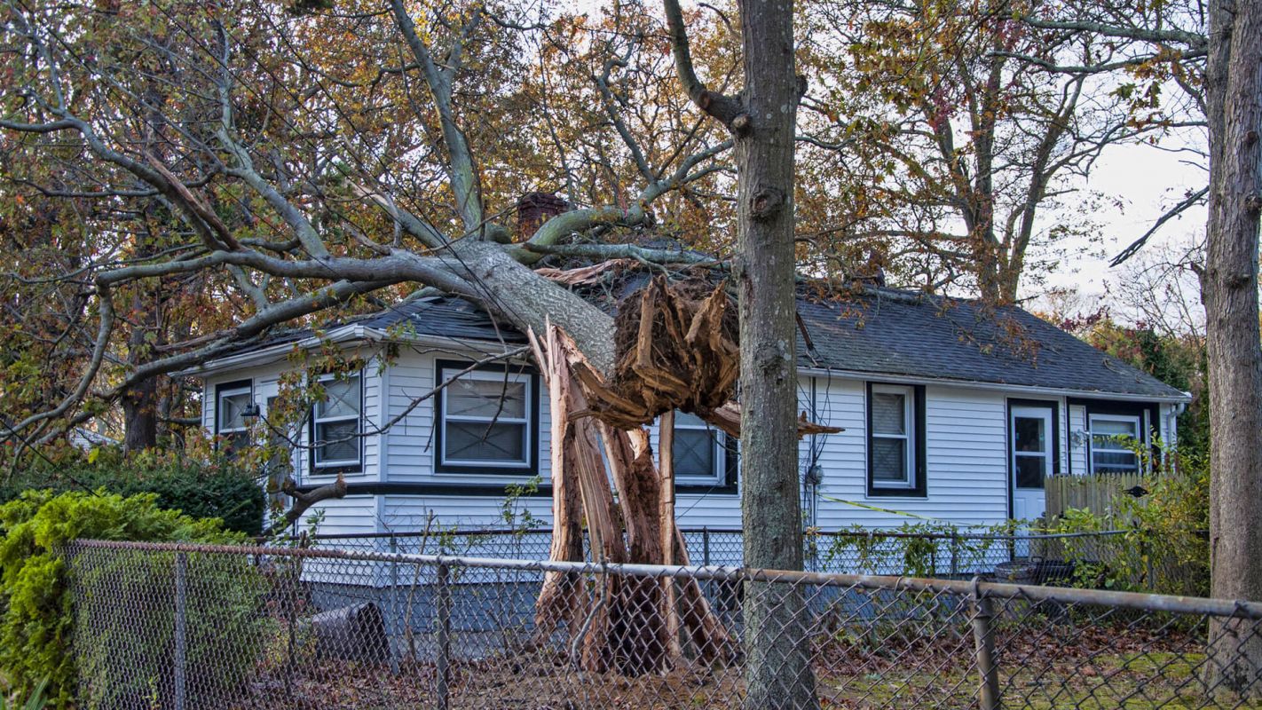 Storm Damage Restoration Johns Creek GA