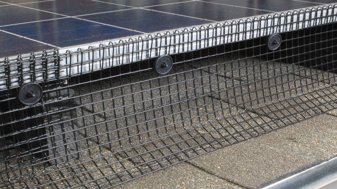 Pigeon Guard Installation Winter Springs FL