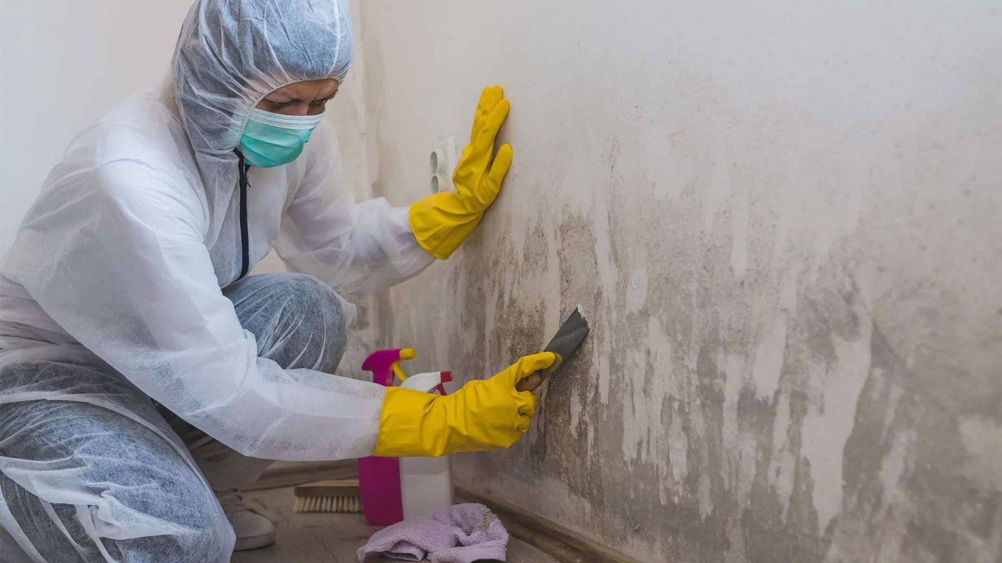 Affordable Mold Remediation Huntington Beach CA