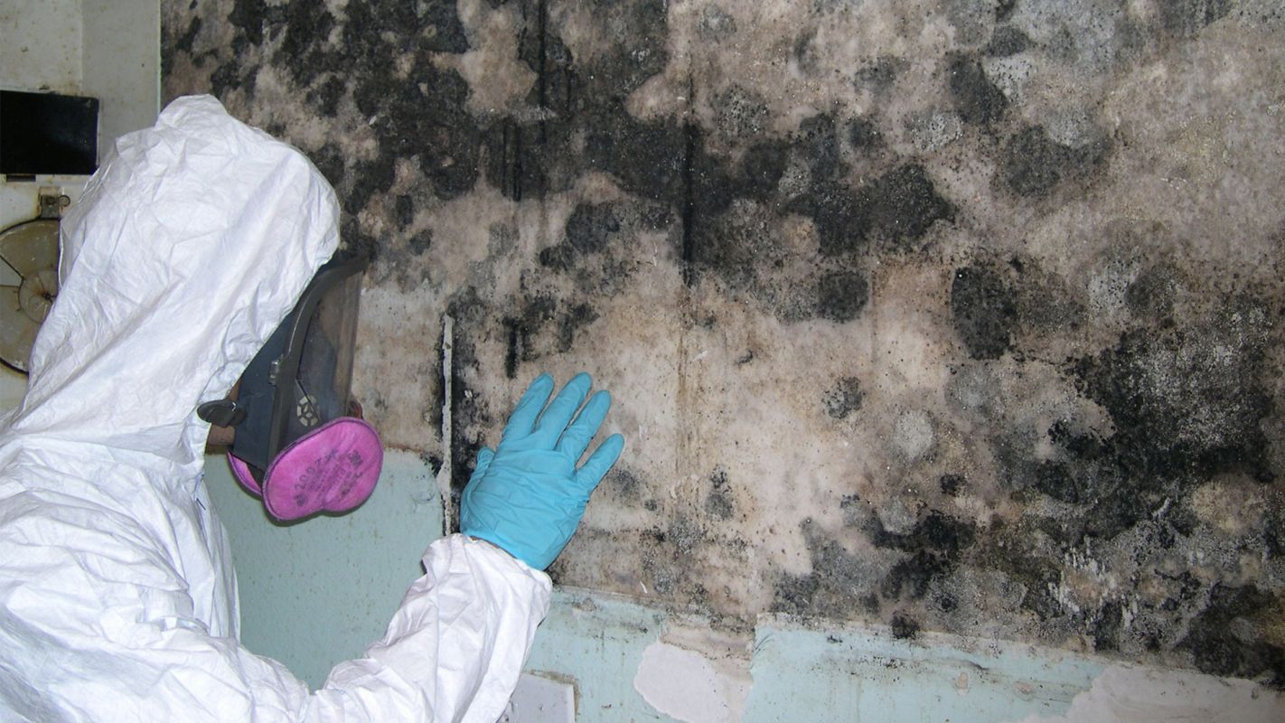 Mold Remediation Services Huntington Beach CA