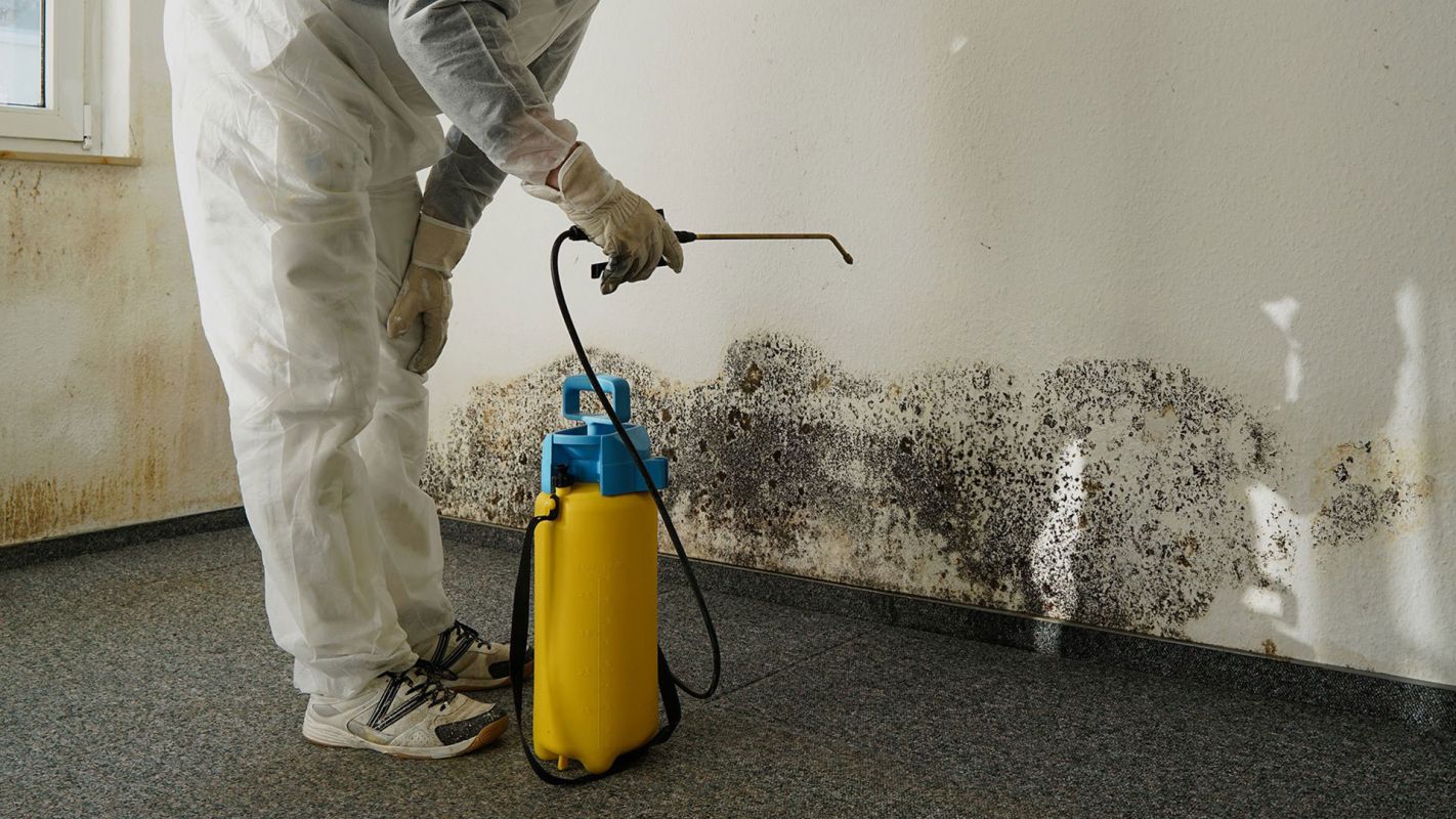 Mold Damage Cleanup Mission Viejo CA