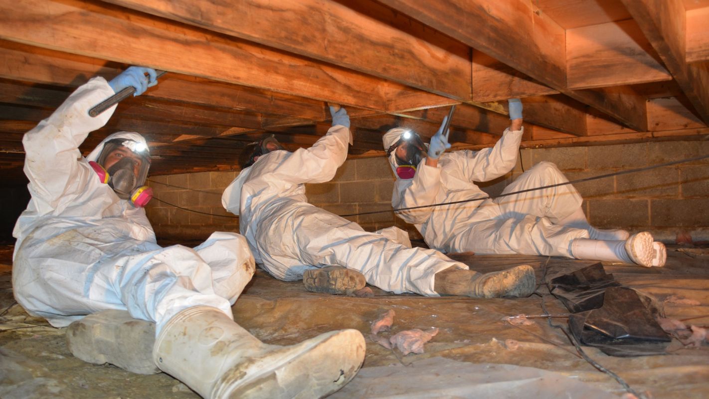 Crawl Space Inspection Mount Pleasant SC