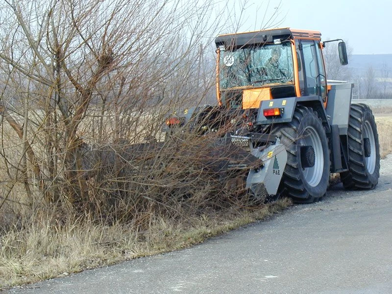 Tree Removal Services Bessemer AL