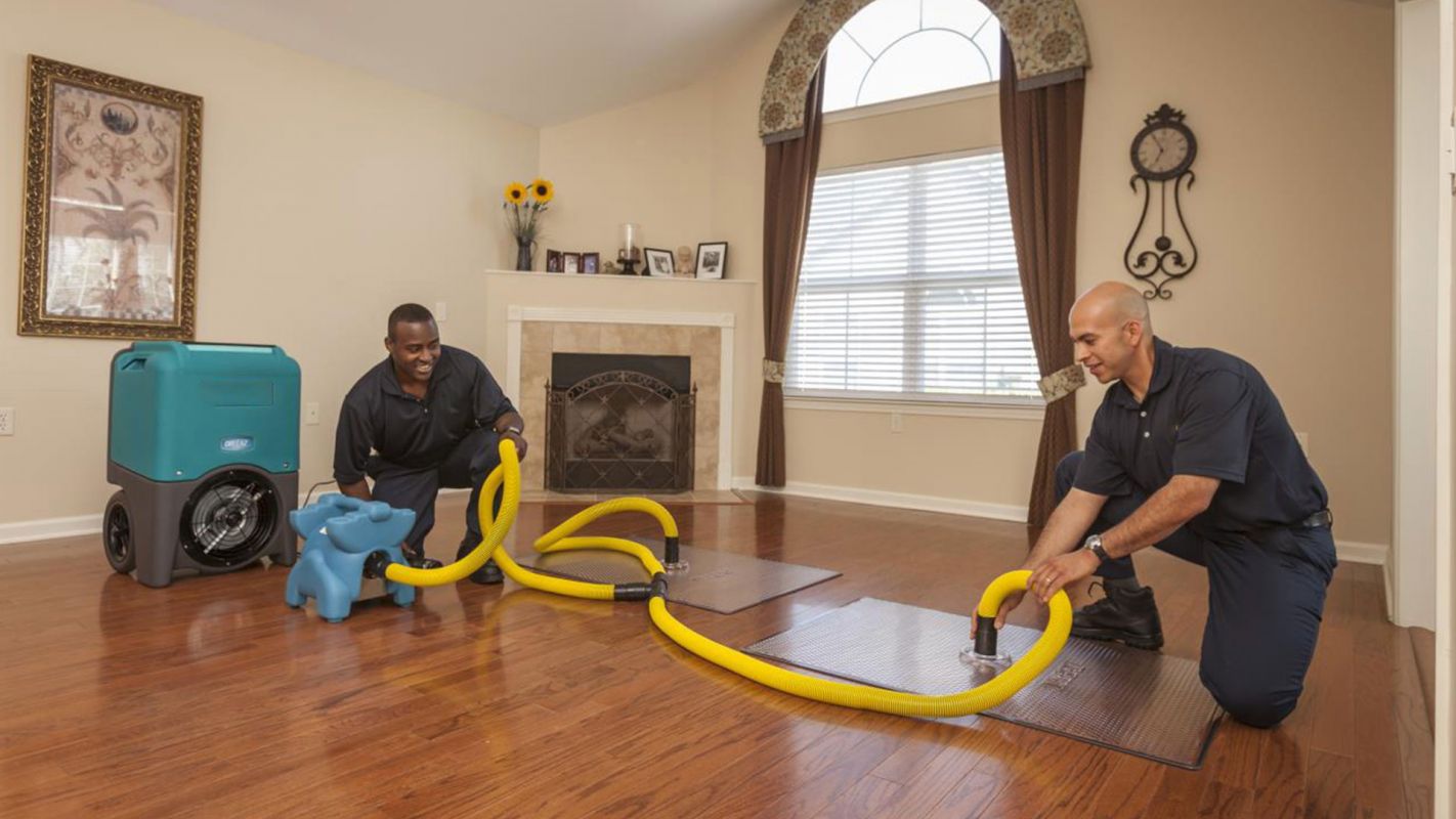 Water Damage Experts El Segundo CA