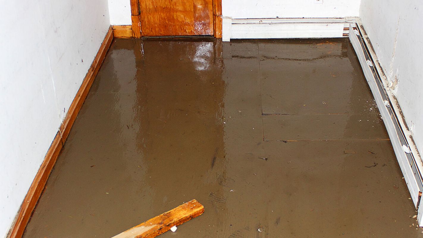 Sewage Clean Up Services El Segundo CA