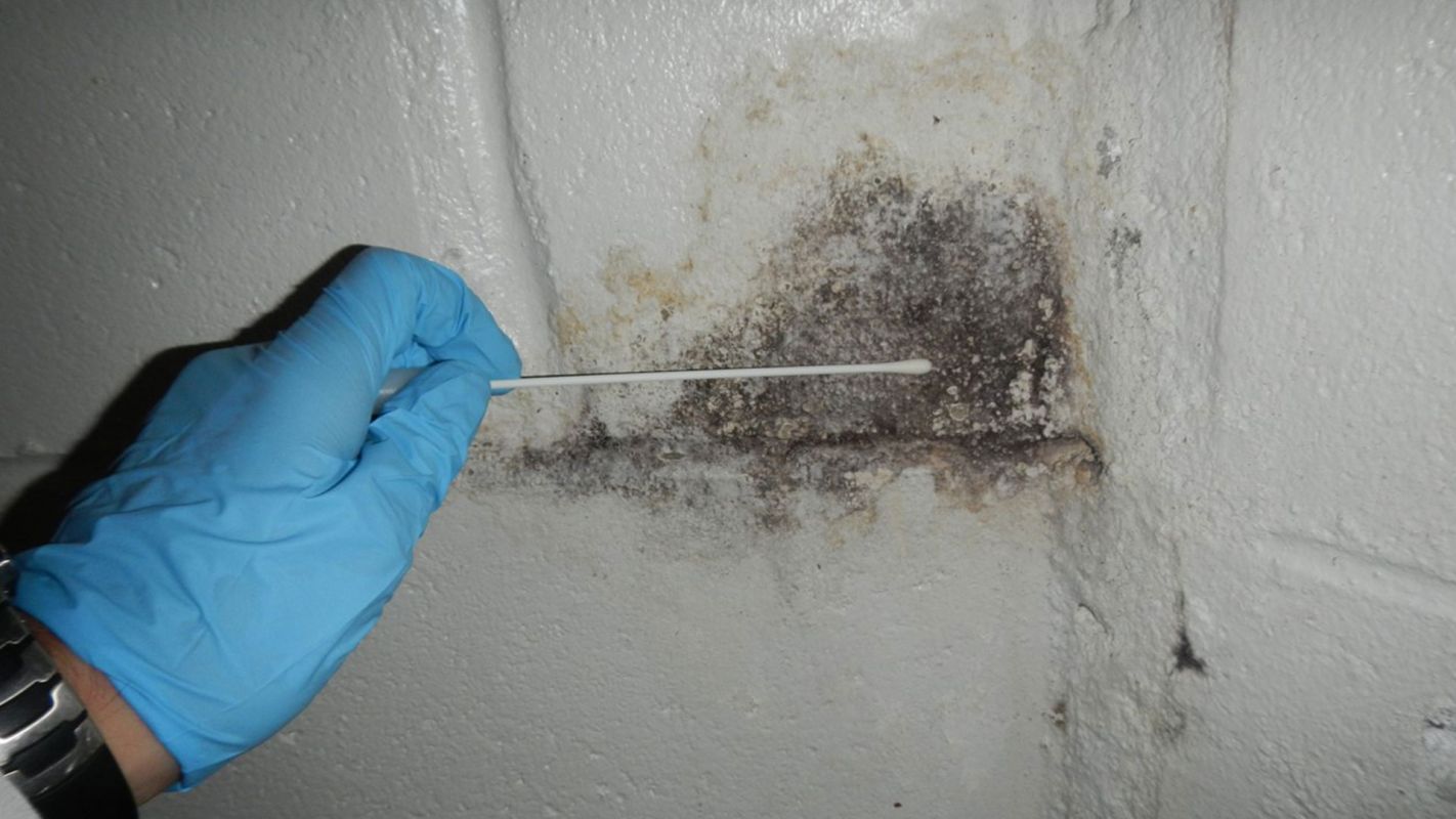Mold Testing Santa Ana CA