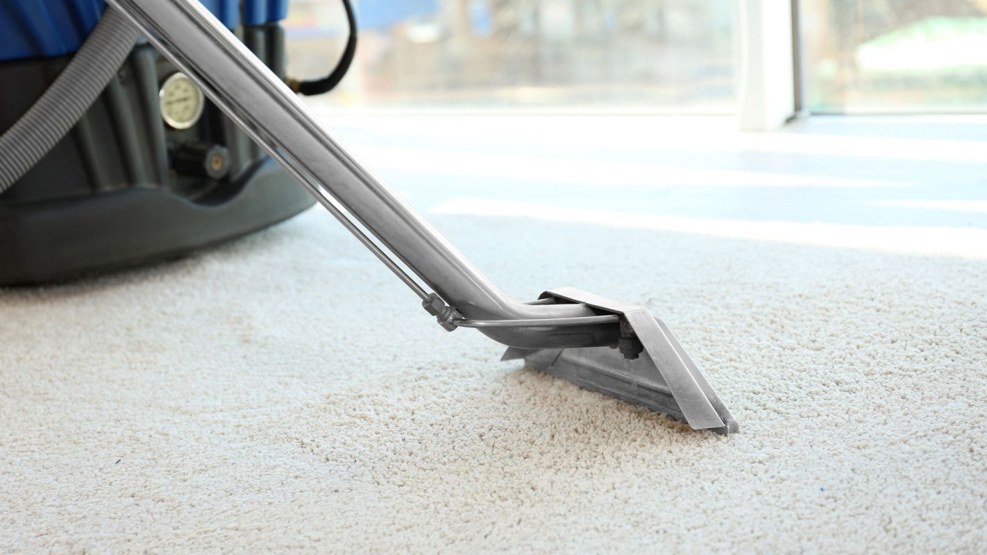 Carpet Cleaning Services Waltham MA